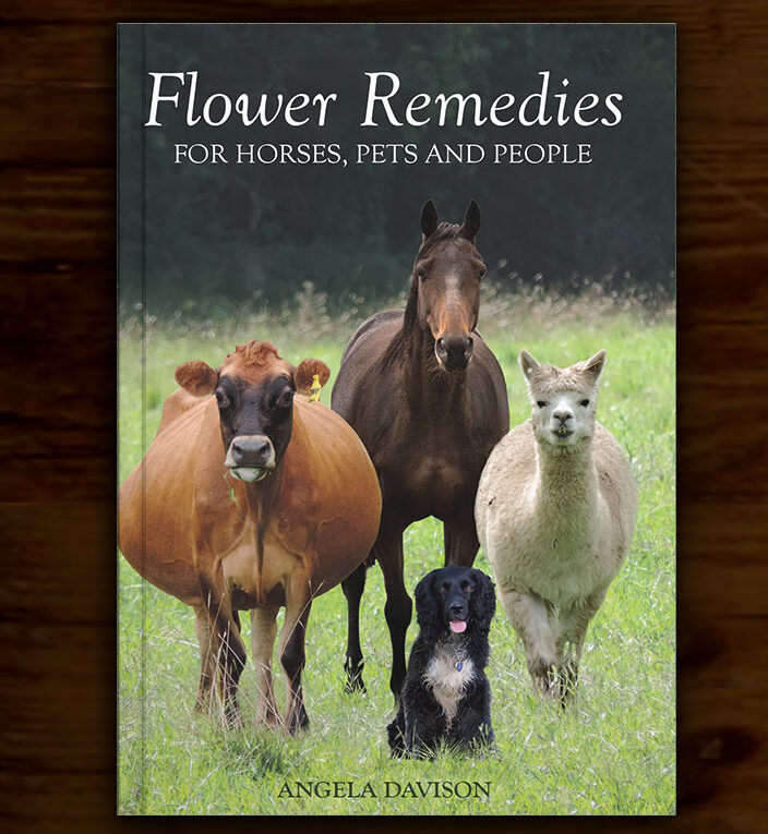 Flower Remedy book by Angela Davison